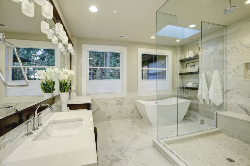 Professional Bathroom Design